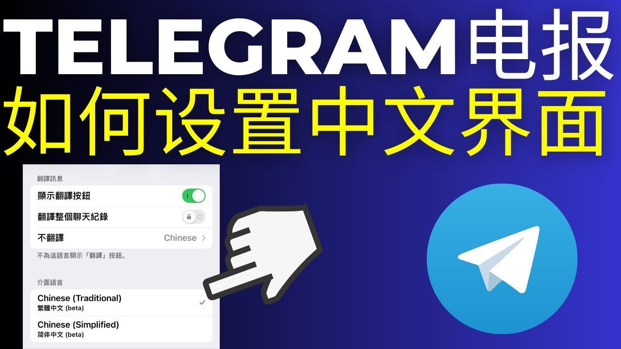 纸飞机X版：特色功能引领社交新潮流